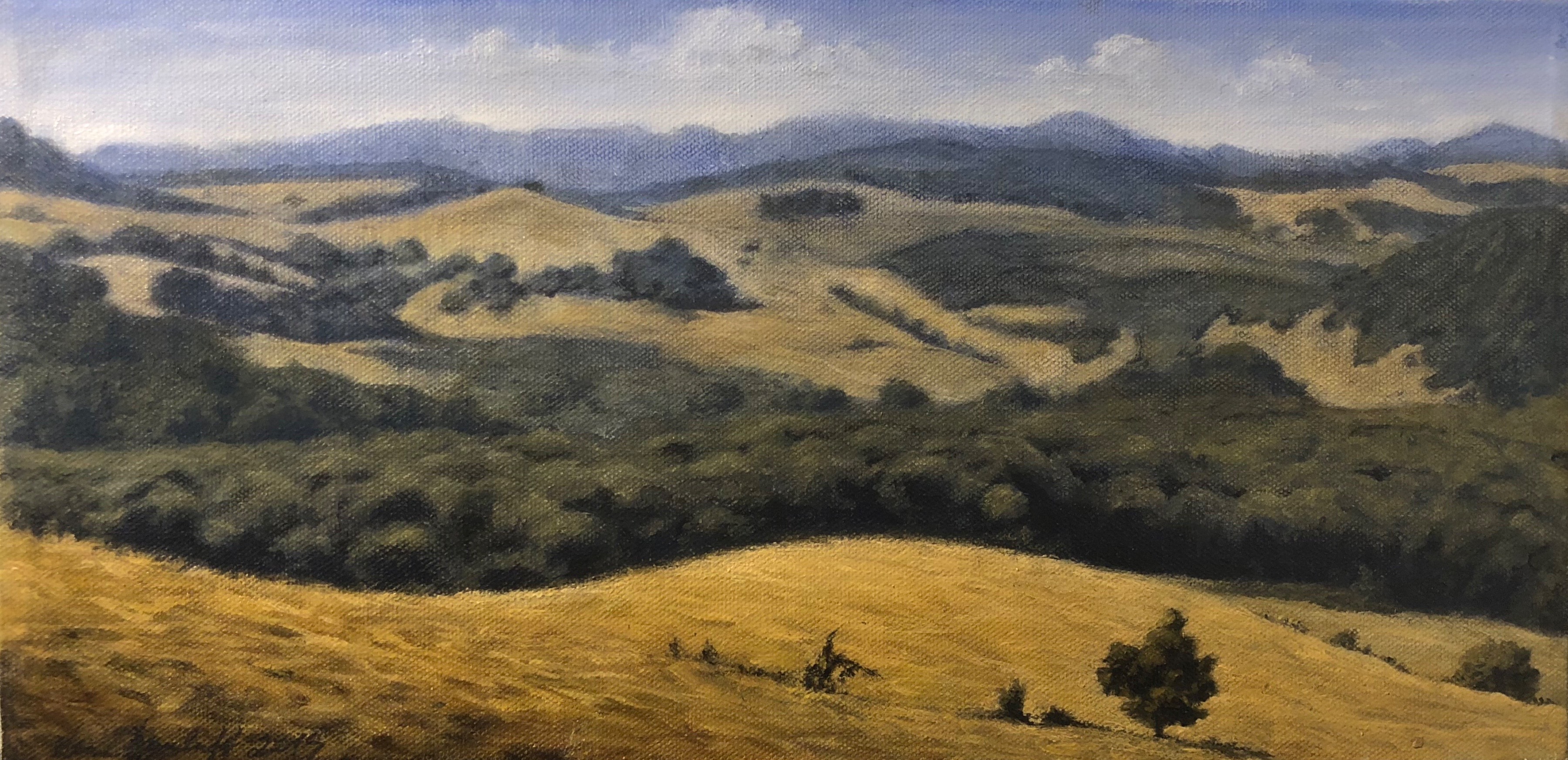 The hills above Malmkrog